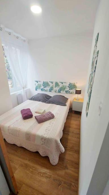 Appartements Cosy Belfort Ngoại thất bức ảnh